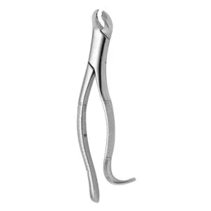 TOOTH FORCEPS AMERICAN N. 15