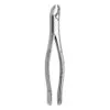 TOOTH FORCEPS AMERICAN PATTERN