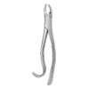TOOTH FORCEPS AMERICAN PATTERN