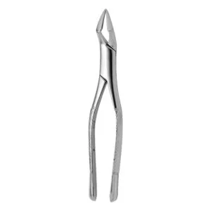 TOOTH FORCEPS AMERICAN N. 32-A