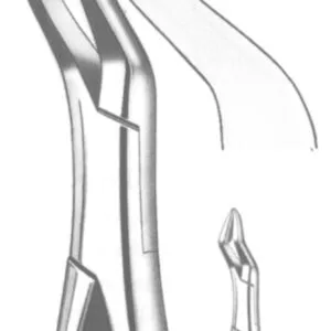 TOOTH FORCEPS AMERICAN N. 32-A