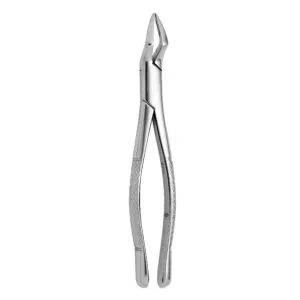 TOOTH FORCEPS AMERICAN N. 65
