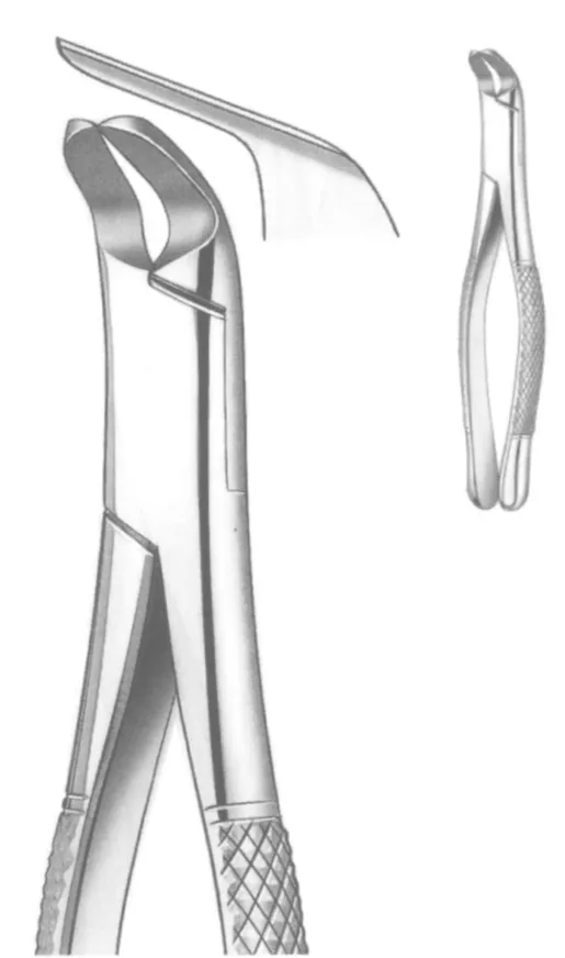 TOOTH FORCEPS AMERICAN PATTERN