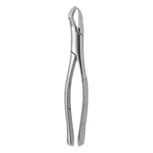 TOOTH FORCEPS AMERICAN N. 88-R
