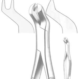 TOOTH FORCEPS AMERICAN N. 88-R