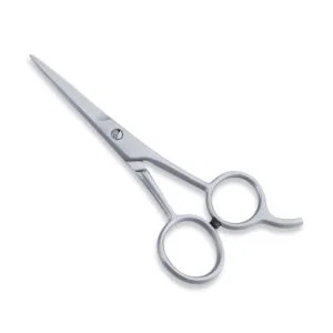 Economy Hair Scissors